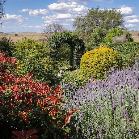 Strathearn Park Lodge Scone Esterno foto